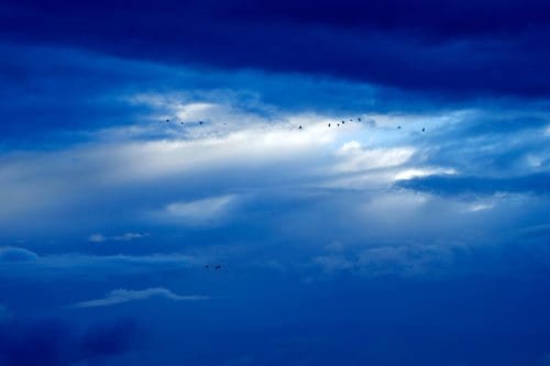 The Bluish Hue by Patricia Rossi