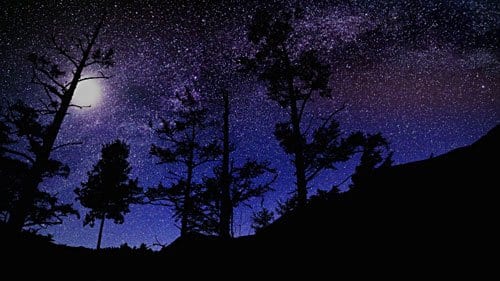 Under the Stars by Joseph Benedict