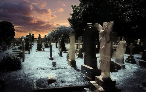 Graveyard Polka by B. C. Nance