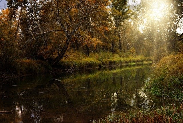 What the River Claims by Cyn Bermudez