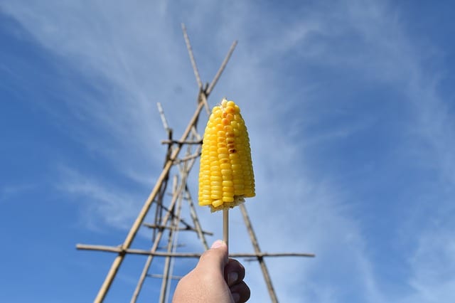 Sweet Corn from a Roadside Stall by Leah Angstman