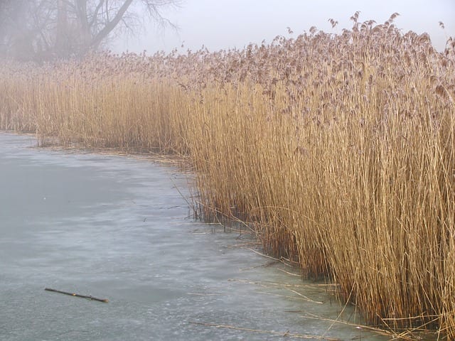 Across a Frozen Pond by James B. Nicola